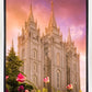 Salt Lake Tulips