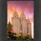 Salt Lake Tulips