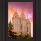 Salt Lake Tulips