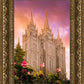 Salt Lake Tulips