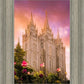 Salt Lake Tulips