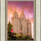 Salt Lake Tulips
