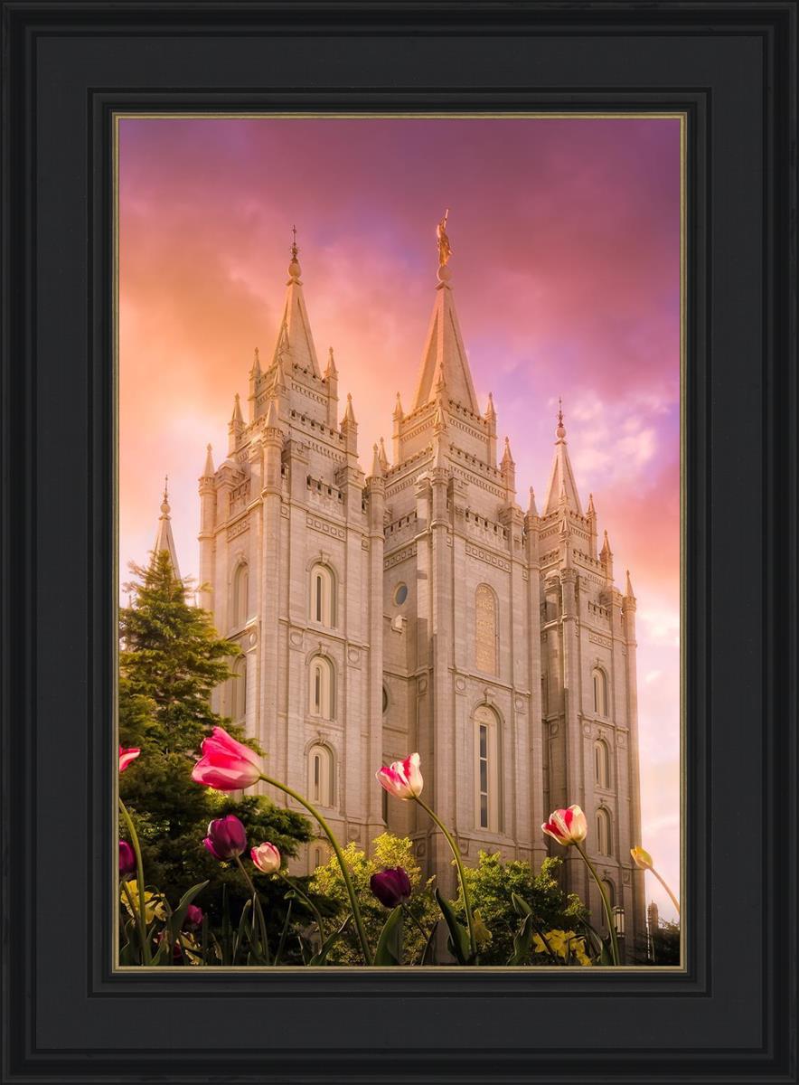 Salt Lake Tulips