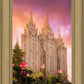 Salt Lake Tulips