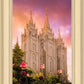 Salt Lake Tulips