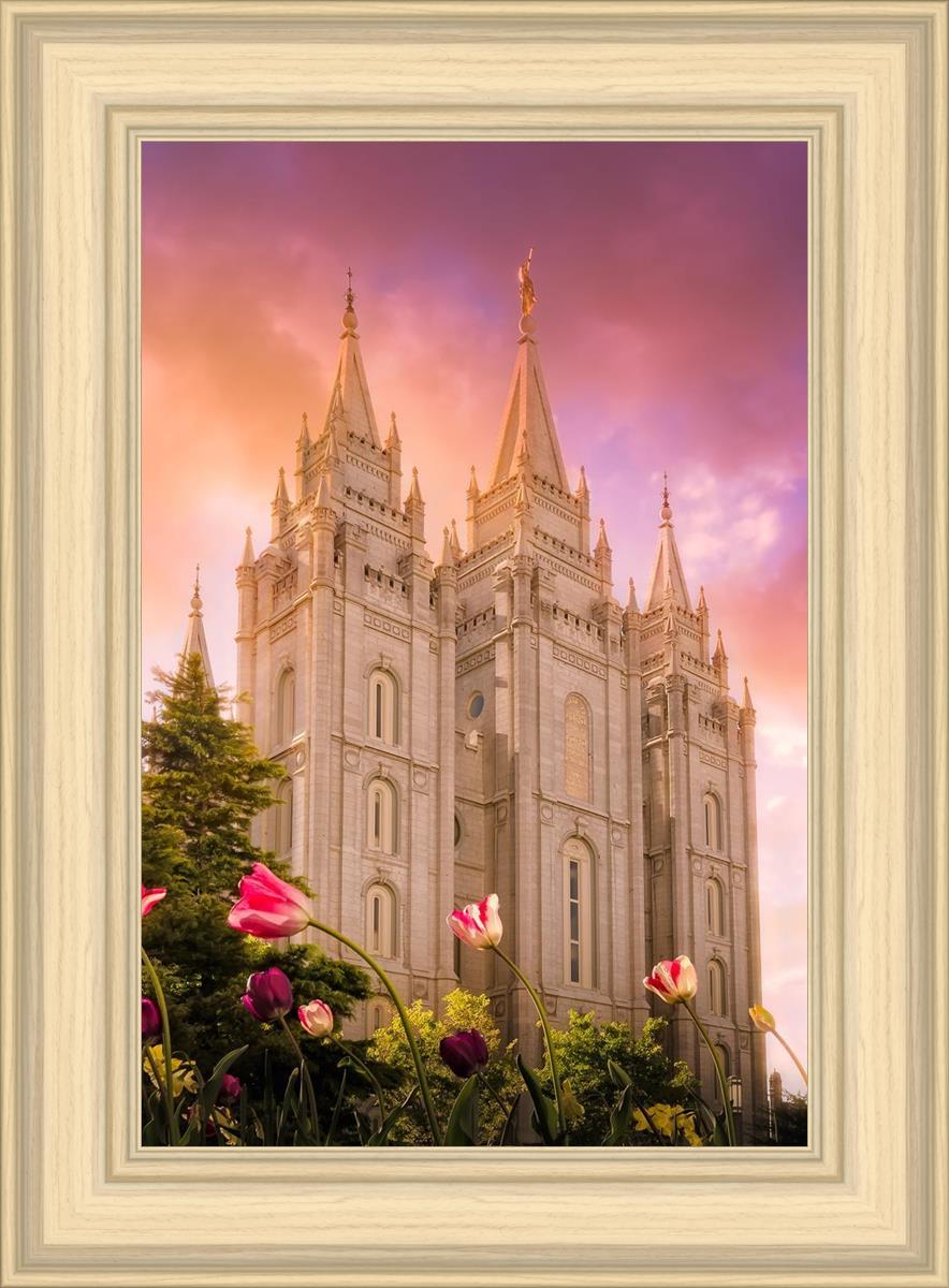Salt Lake Tulips