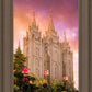 Salt Lake Tulips