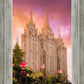 Salt Lake Tulips