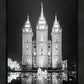 Salt Lake Nativity