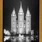 Salt Lake Nativity