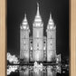 Salt Lake Nativity