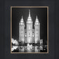 Salt Lake Nativity