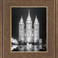 Salt Lake Nativity