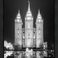 Salt Lake Nativity