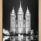 Salt Lake Nativity
