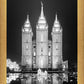 Salt Lake Nativity