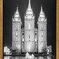 Salt Lake Nativity