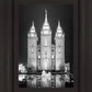 Salt Lake Nativity
