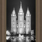 Salt Lake Nativity