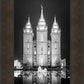 Salt Lake Nativity