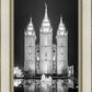 Salt Lake Nativity