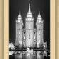 Salt Lake Nativity