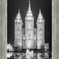 Salt Lake Nativity