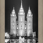 Salt Lake Nativity
