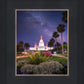 Oakland Starry Eyed