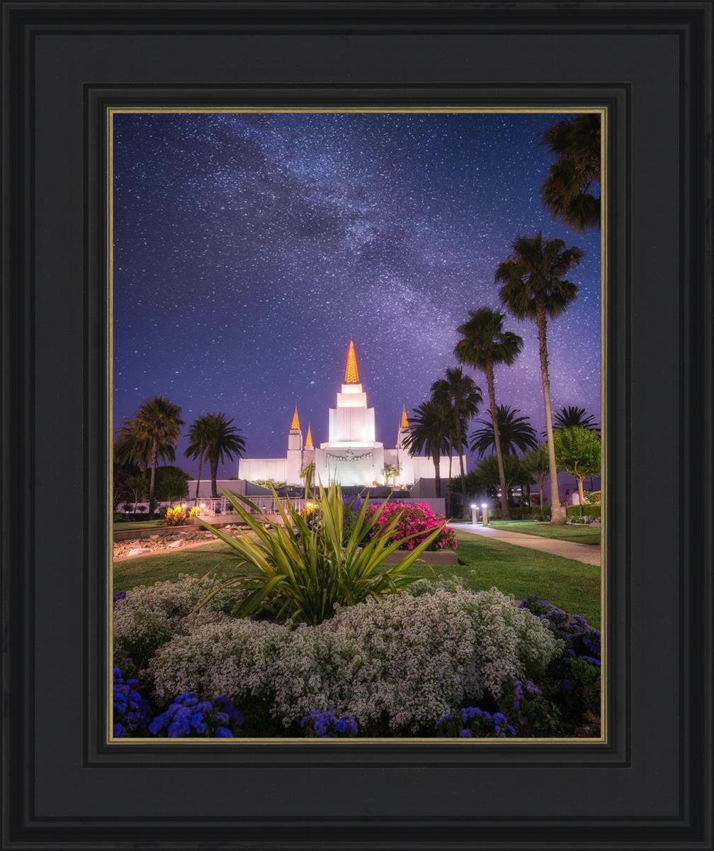Oakland Starry Eyed