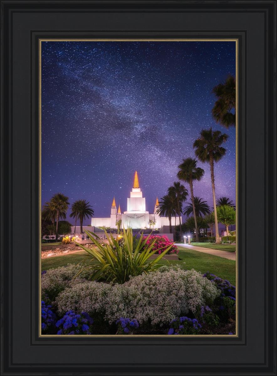 Oakland Starry Eyed