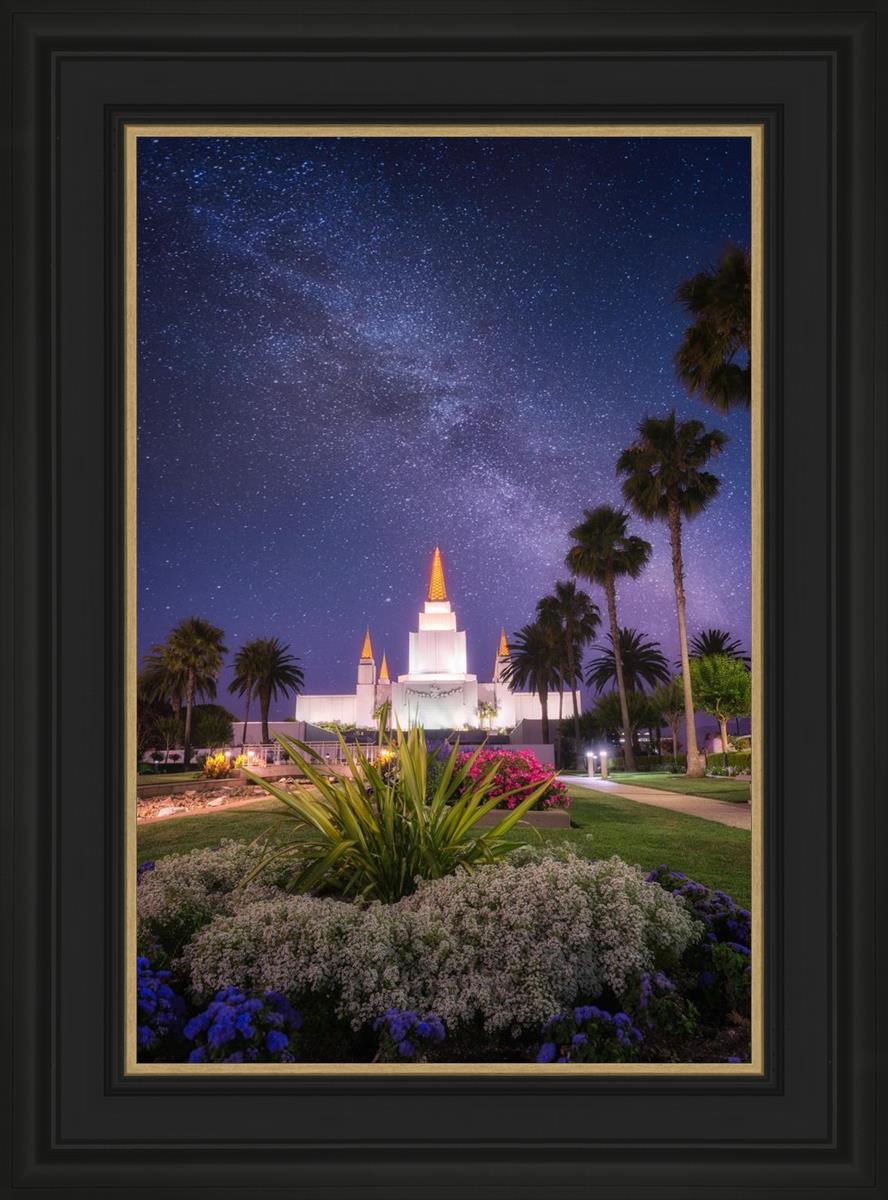 Oakland Starry Eyed