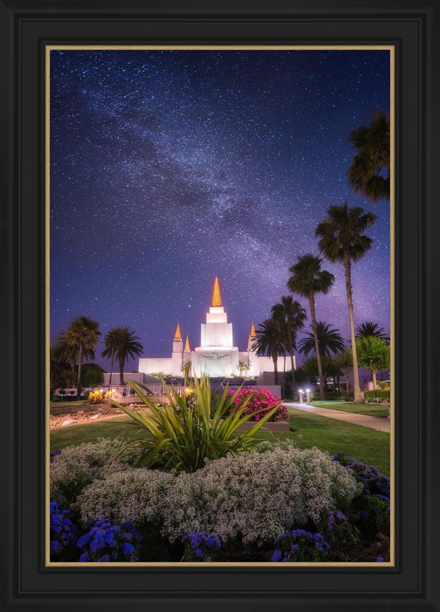 Oakland Starry Eyed