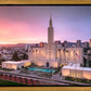 Los Angeles Weathering the Storm