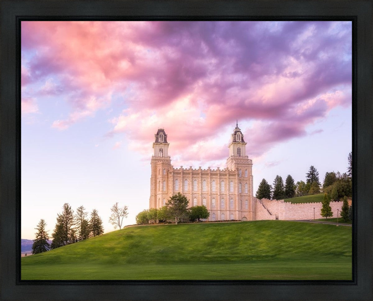 Manti Cotton Candy