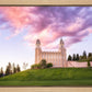 Manti Cotton Candy