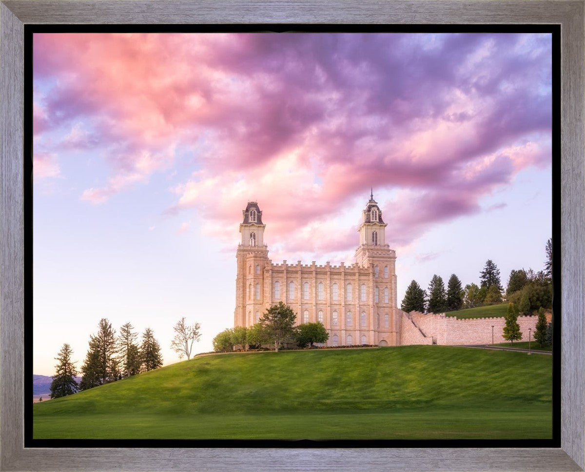 Manti Cotton Candy
