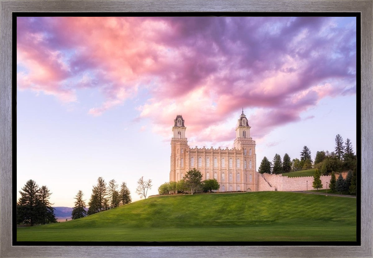 Manti Cotton Candy