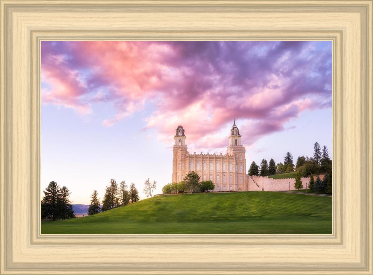 Manti Cotton Candy