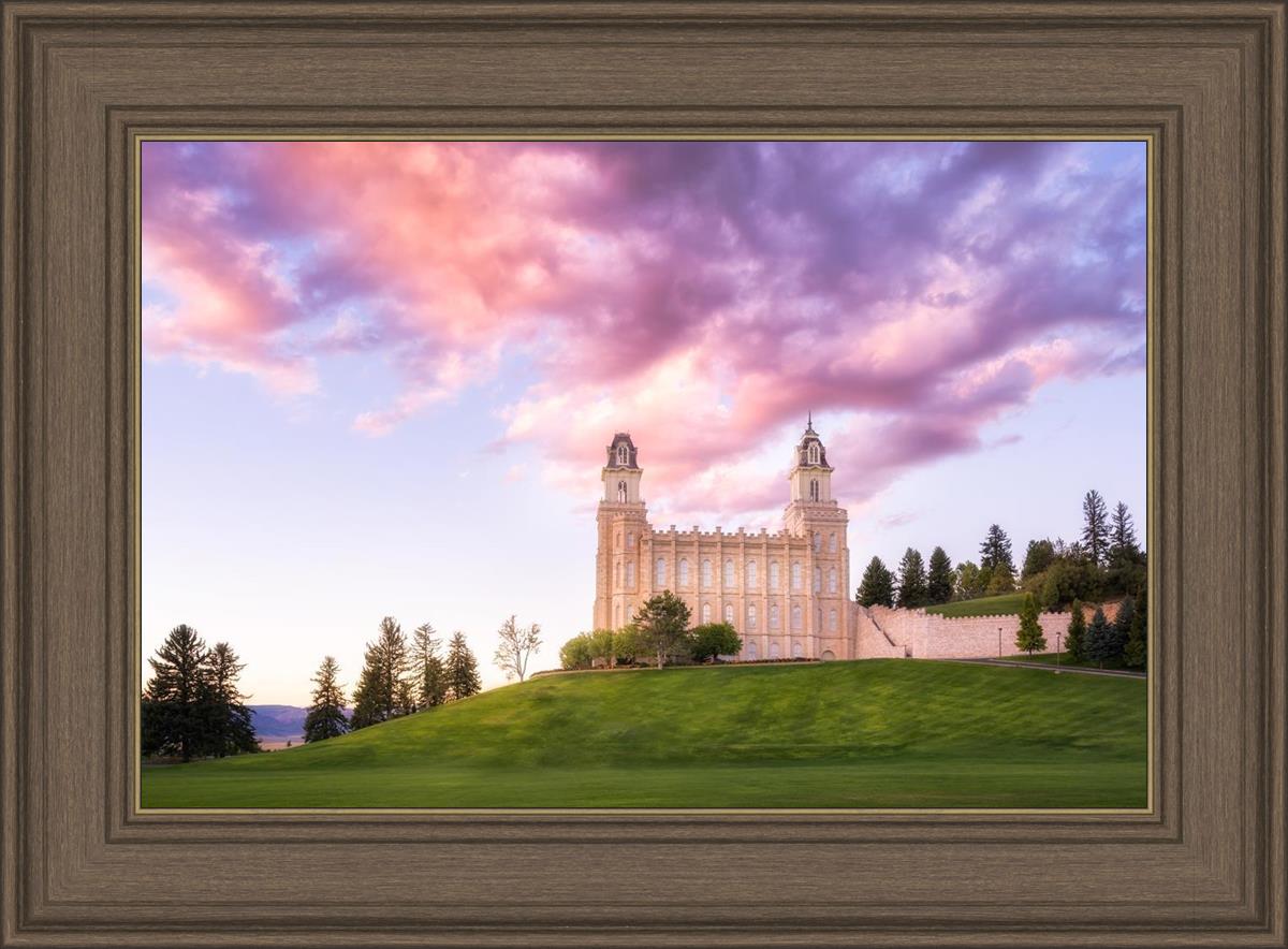 Manti Cotton Candy