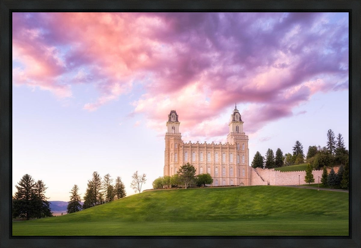 Manti Cotton Candy