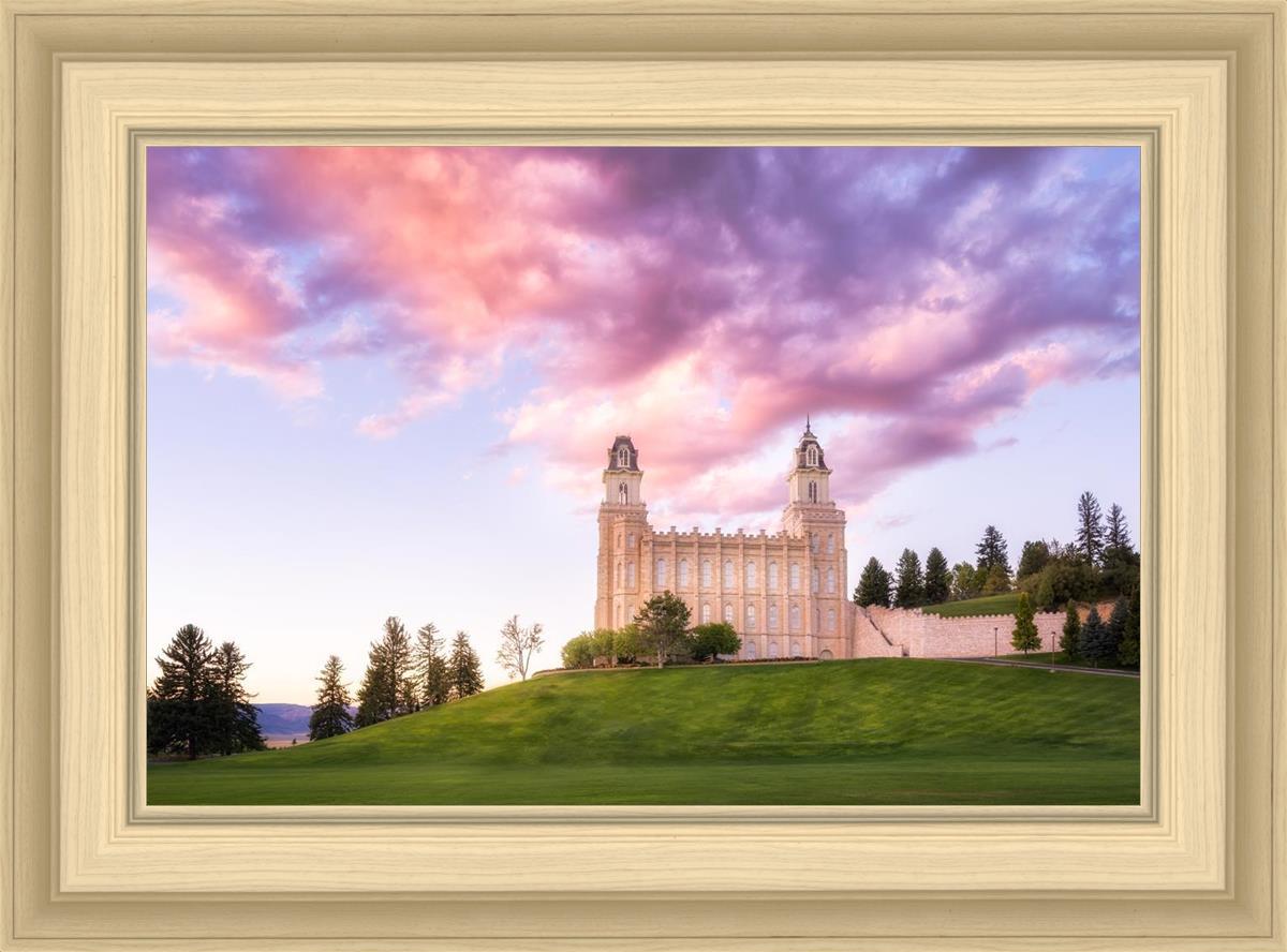 Manti Cotton Candy