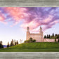 Manti Cotton Candy