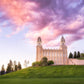 Manti Cotton Candy