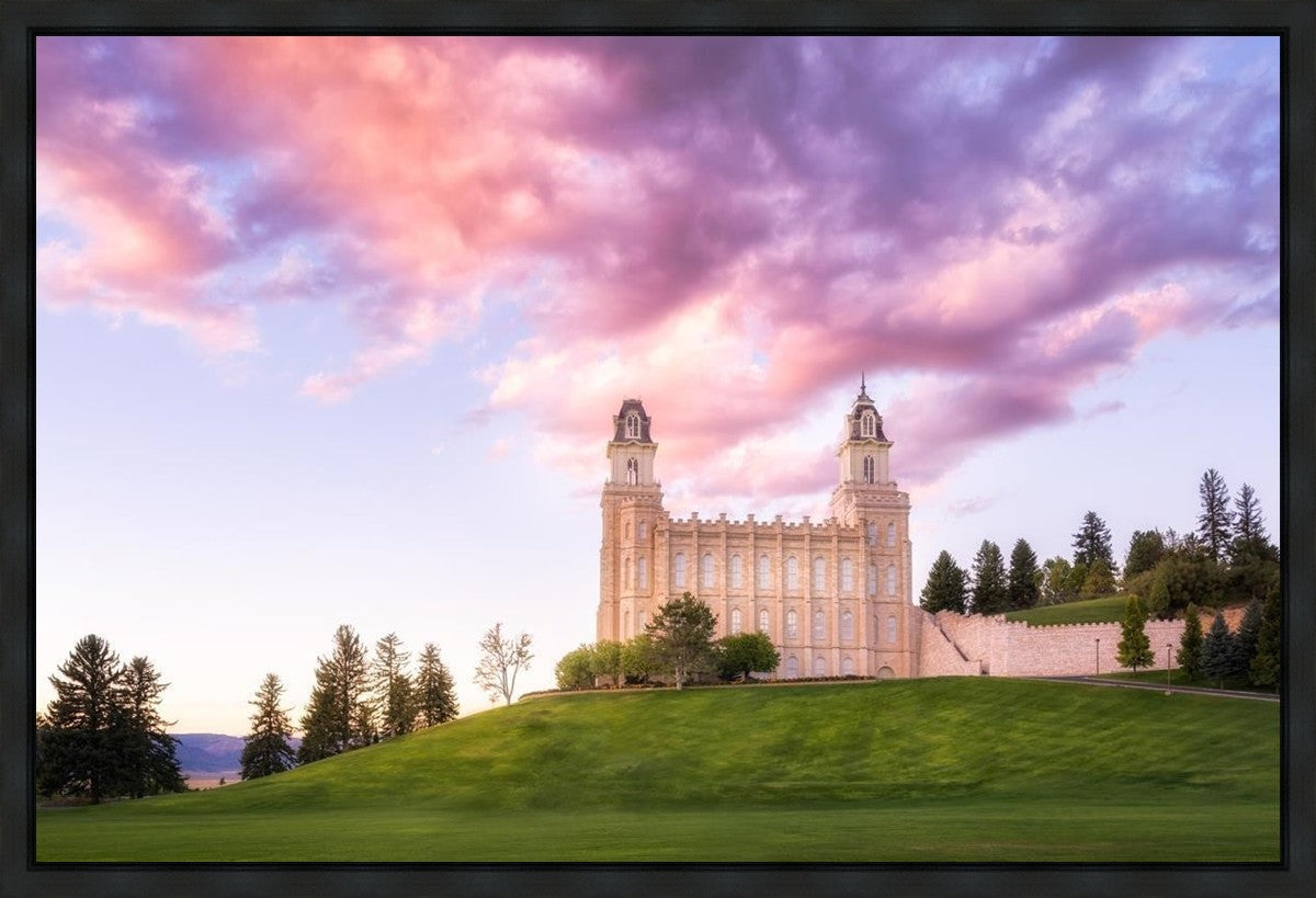 Manti Cotton Candy