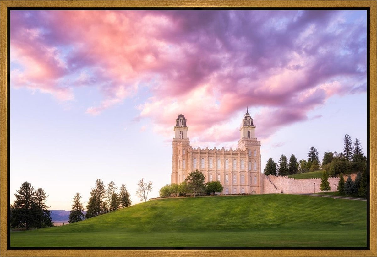 Manti Cotton Candy