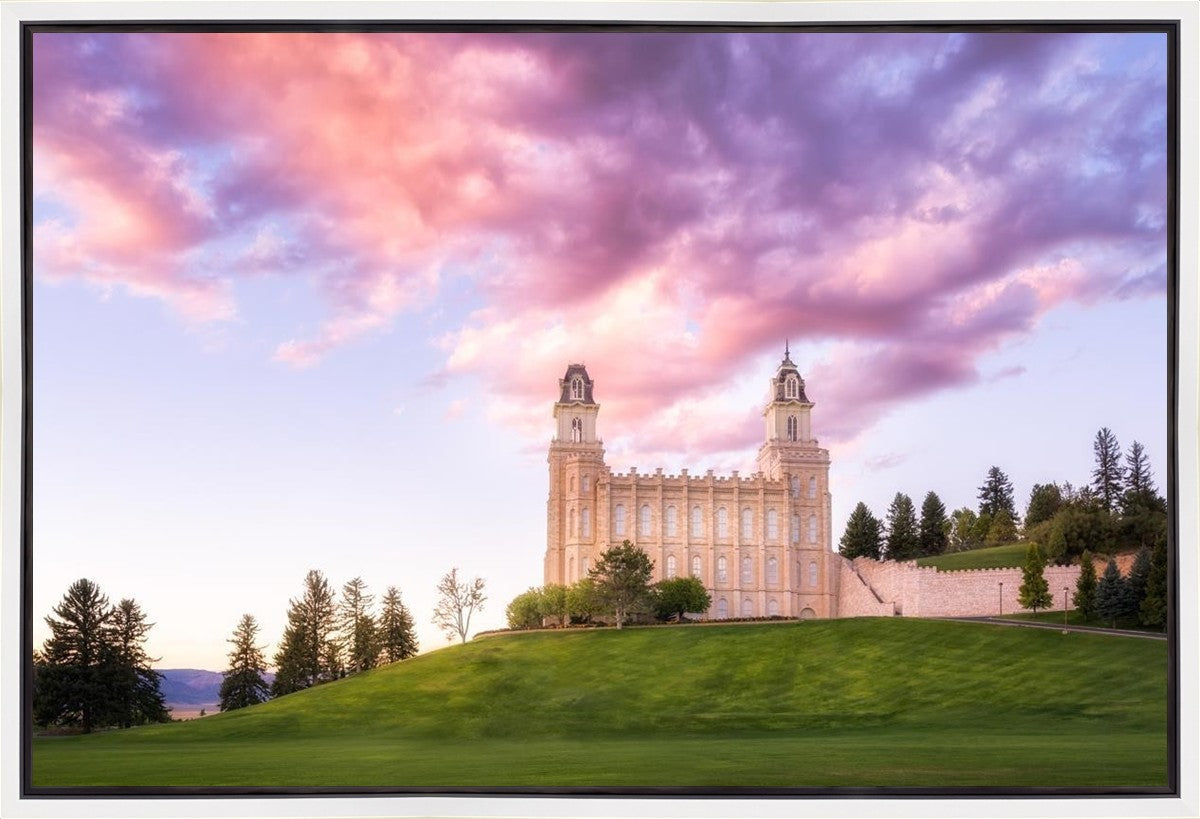 Manti Cotton Candy