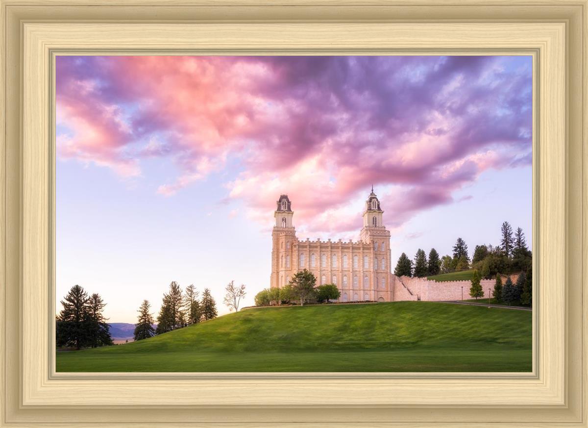 Manti Cotton Candy