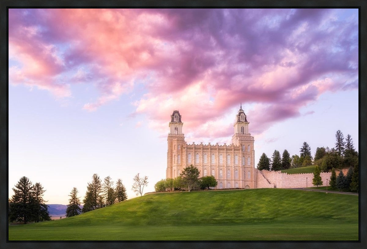 Manti Cotton Candy