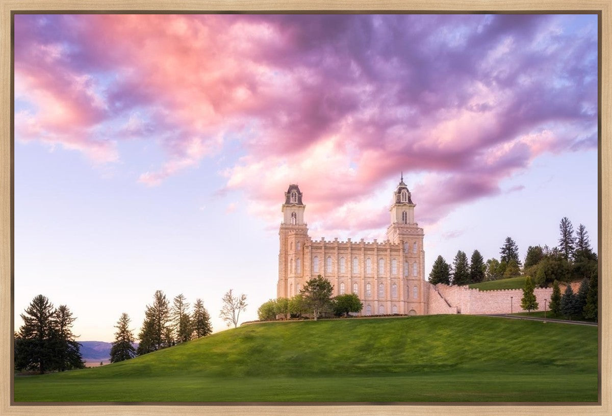 Manti Cotton Candy